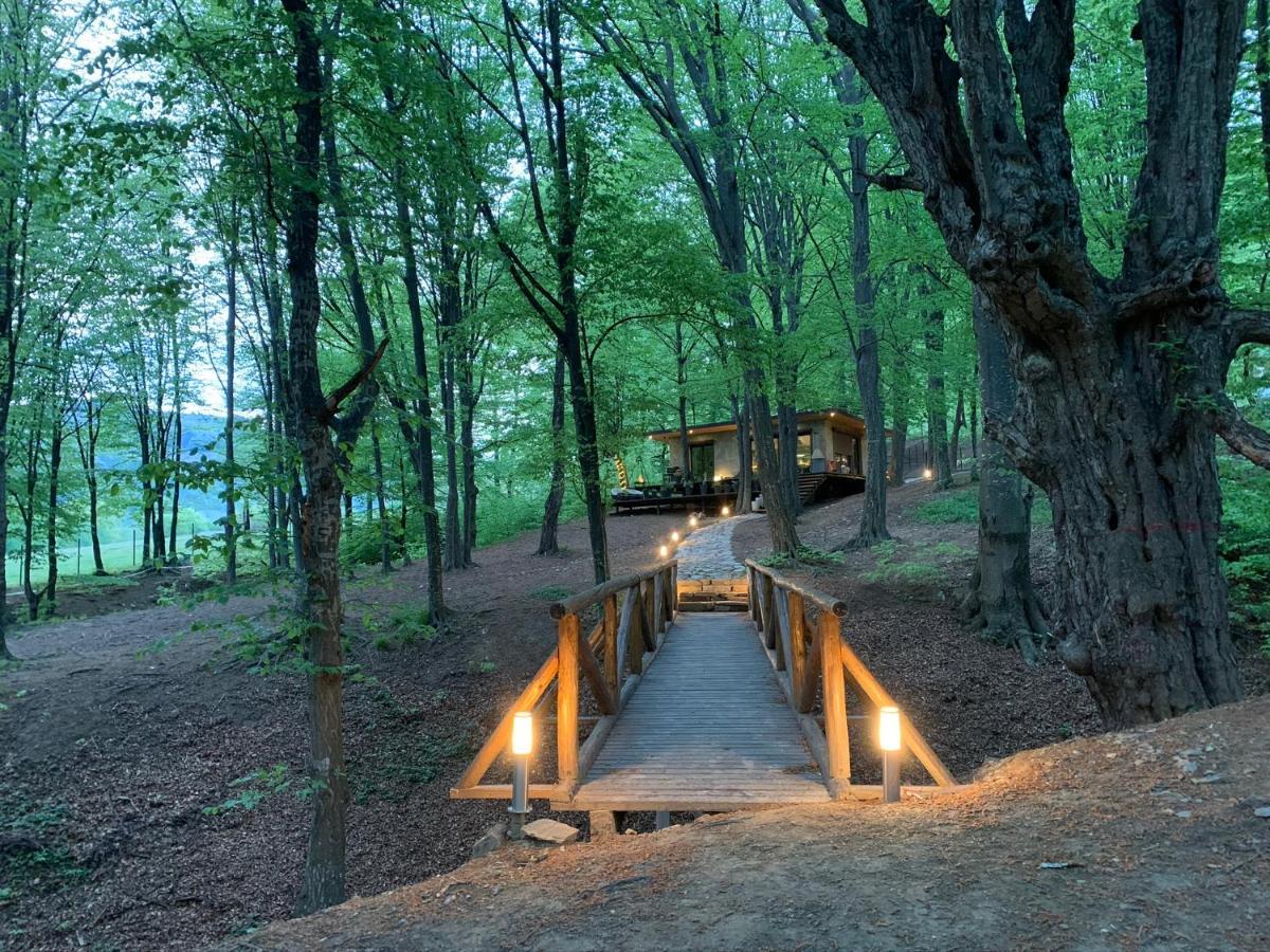 Vila Luxury Lake House & Glamping Teşila Exteriér fotografie